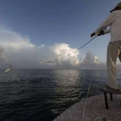 Scott Sector Fly Rods -Apparel || Fly-Fishing Sales 6 51914.1660534205