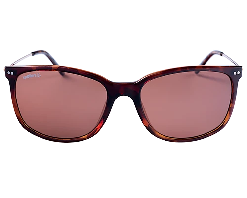 Specials Spotters Bella Tortoise Halide Polarised Sunglasses 4 Specials Spotters Bella Tortoise Halide Polarised Sunglasses - Image 2
