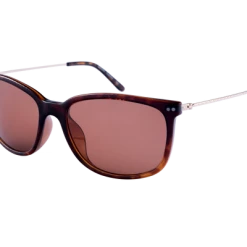 Specials Spotters Bella Tortoise Halide Polarised Sunglasses
