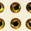 Beads, Eyes & Rattles Wapsi Hologram Eyes - Gold 1/4" -Apparel || Fly-Fishing Sales hologram eye gold 50386.1556263238.386.513